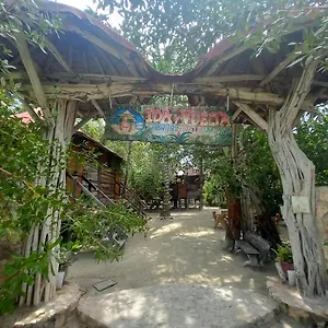 book here